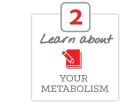 Learn about your metabolism